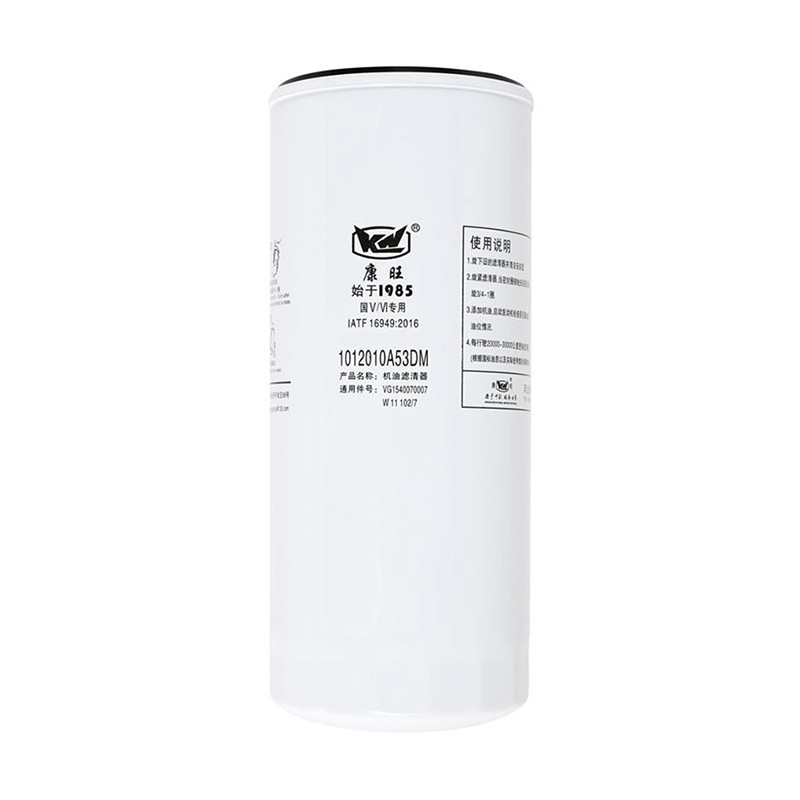 1012010A53DM Origine Cartuccia filtro carburante per semi-camion per veicoli pesanti