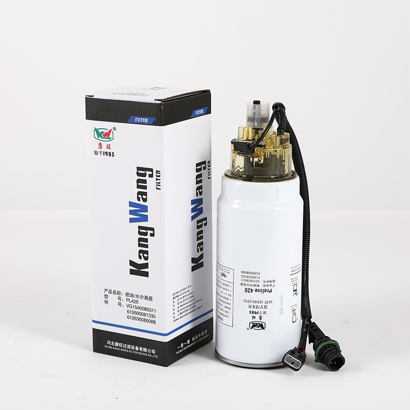 Manutenzione standard del filtro del carburante per autoveicoli ad alto flusso