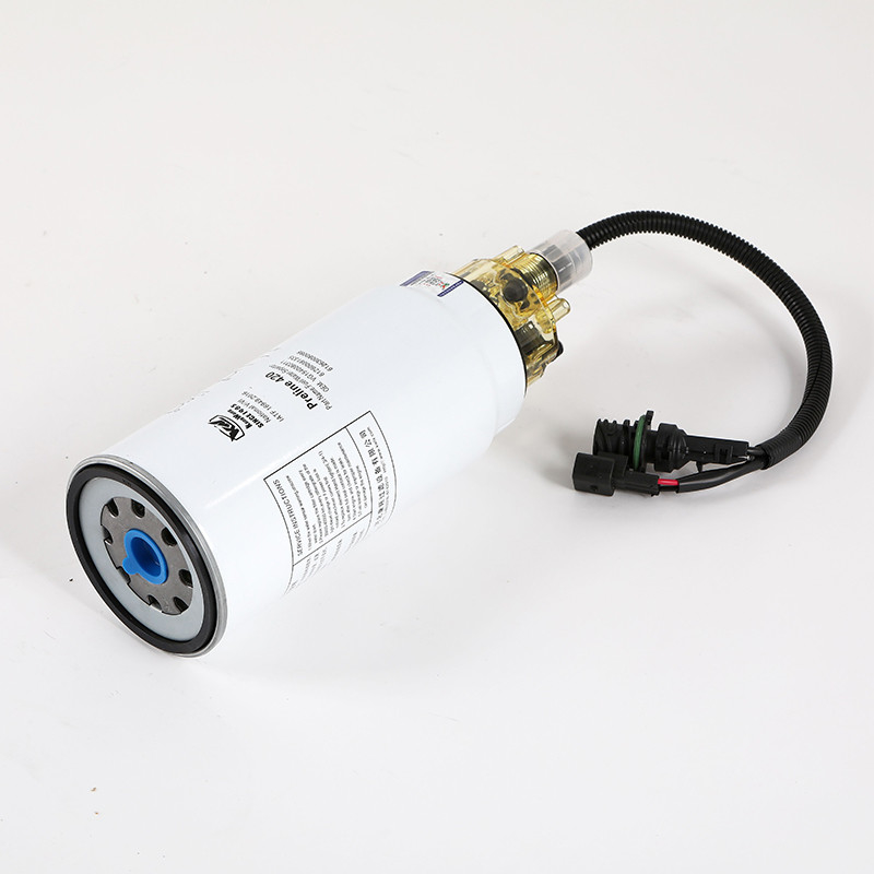 Manutenzione standard del filtro del carburante per autoveicoli ad alto flusso