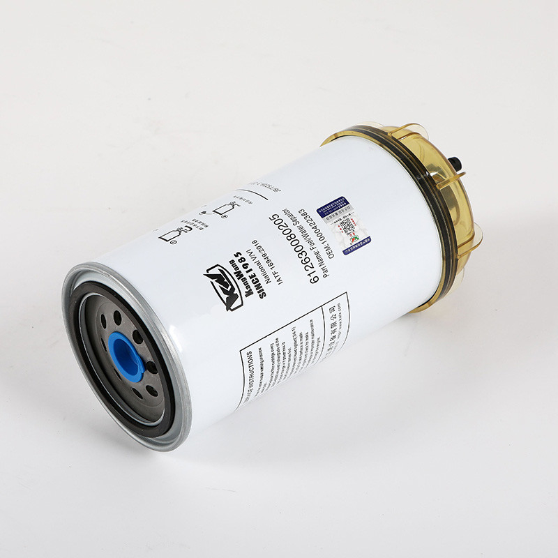 612630080205 Camioni Camion filtro del carburante per la compatibilità con le parti del motore