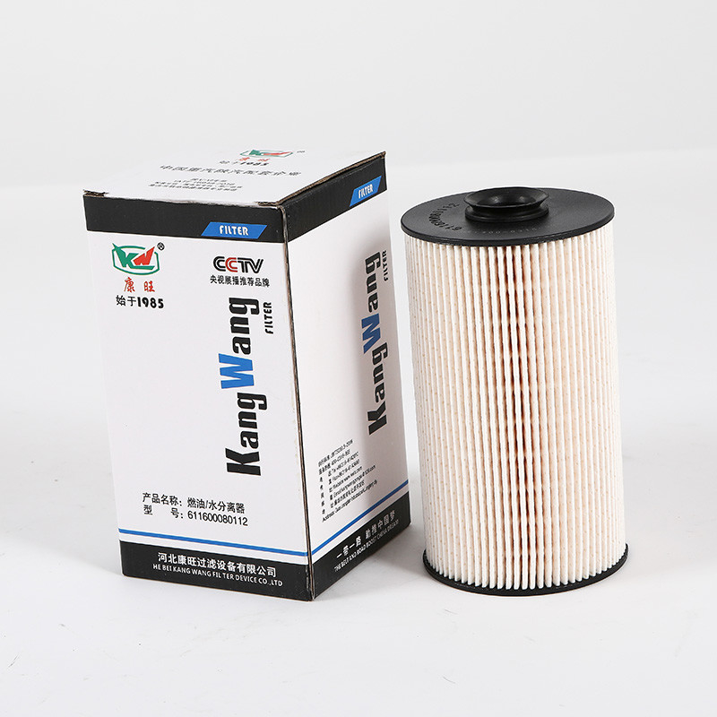 611600080112 Funzione filtro dell'olio cartuccia filtro del carburante per camion pesanti da Hebei