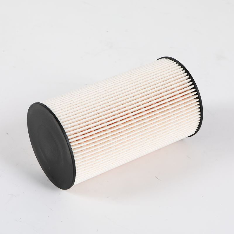 611600080112 Funzione filtro dell'olio cartuccia filtro del carburante per camion pesanti da Hebei