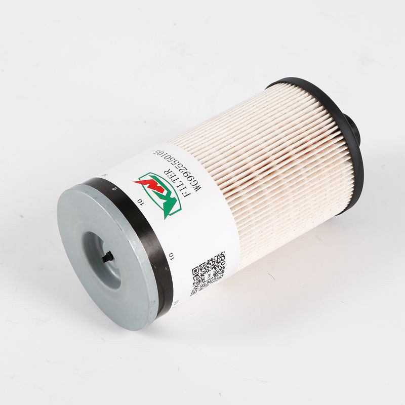 WG9925550105 Filtro di carburante per camion di origine Hebei per una filtrazione efficace sui camion