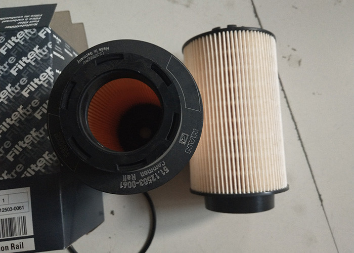 Filtro del carburante InPolvererialee diesel 51.12503-0061 per il camion di MANN 18280