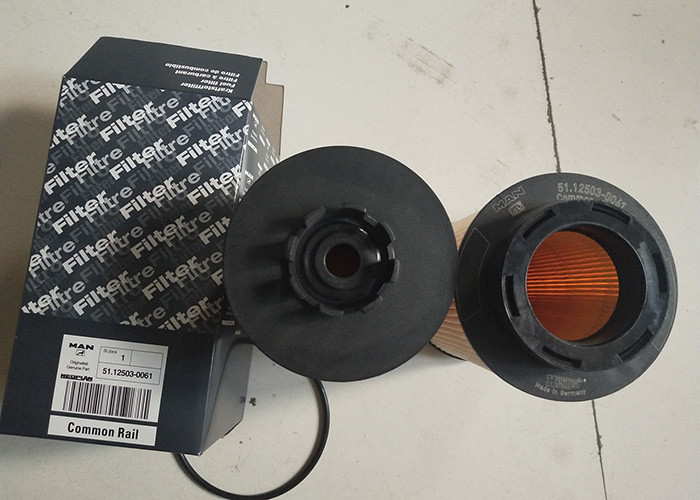 Filtro del carburante InPolvererialee diesel 51.12503-0061 per il camion di MANN 18280