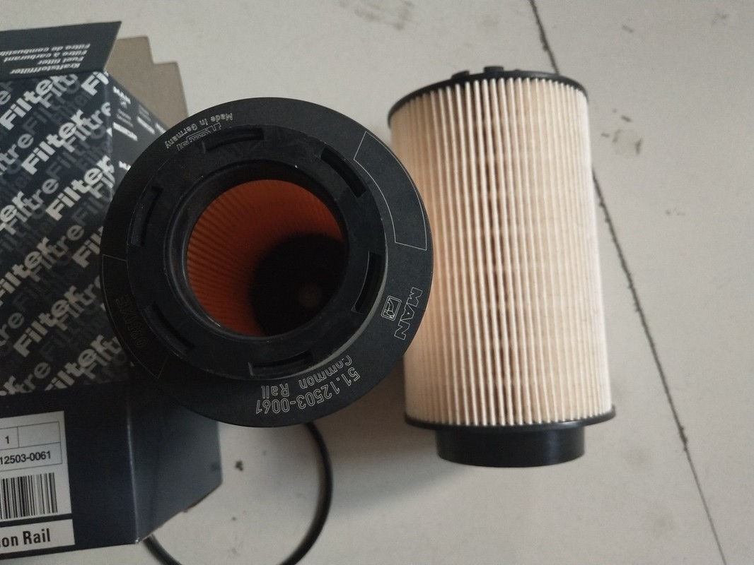 filtro del carburante diesel 12503-0061 dal camion 1kg con la dimensione di 15×15×28cm