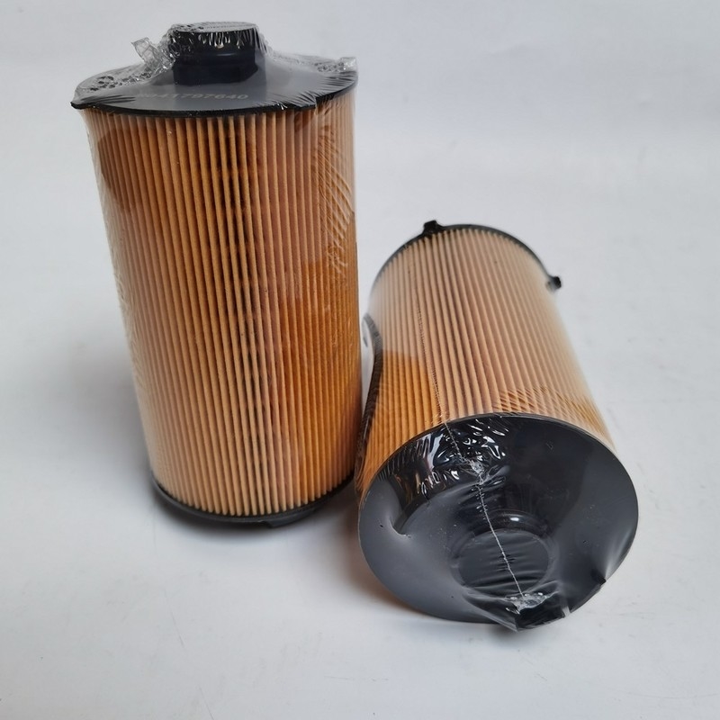 Lubrificando escavatore Filtro dell'olio 5041797640 504272431 per SAIC Iveco