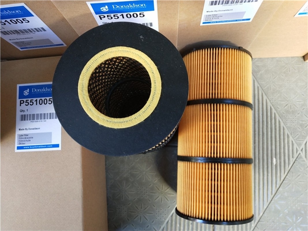 cartuccia di 200μM Lube Filtro dell'olio, filtri dell'olio idraulici di P551005 Donaldson